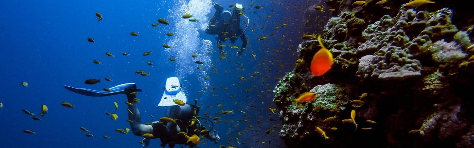 Scuba6-1.jpg