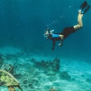 Molokini and Turtle Arches Snorkeling Trip
